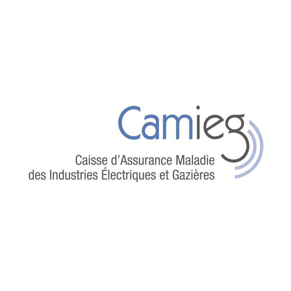 logo camieg